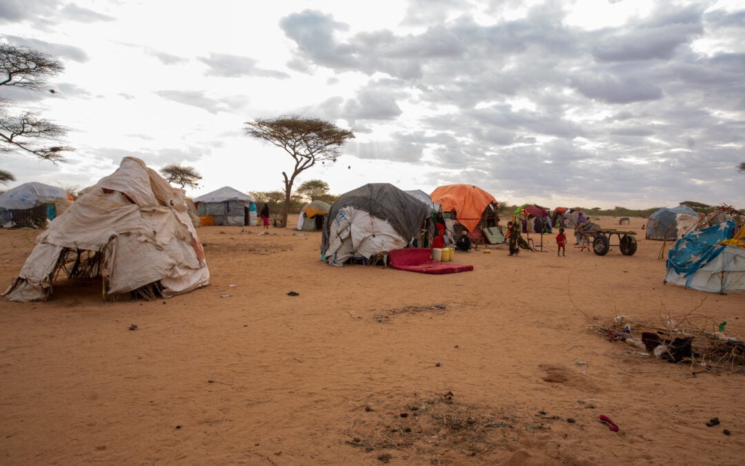 Kenya’s Dadaab struggles with new influx of Somalis fleeing drought