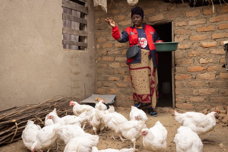 Woman feeds chickens. 