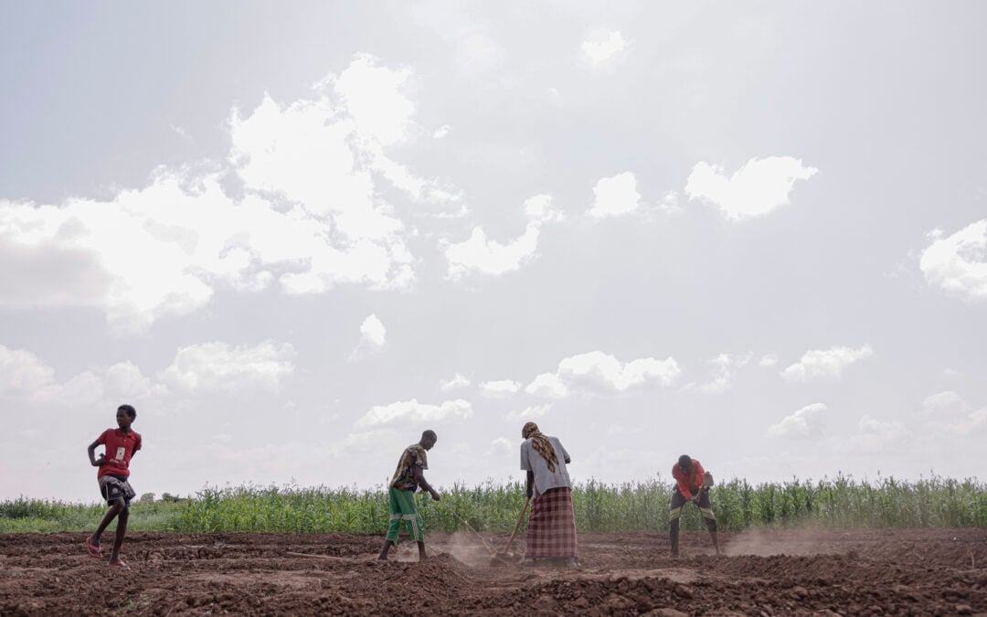 Innovative Insurance for Resilience: Humanity Insured’s Impact in Malawi