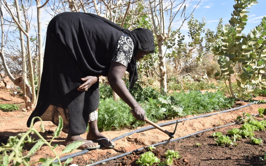 ‘Whoever has planted a tree has not lived in vain’